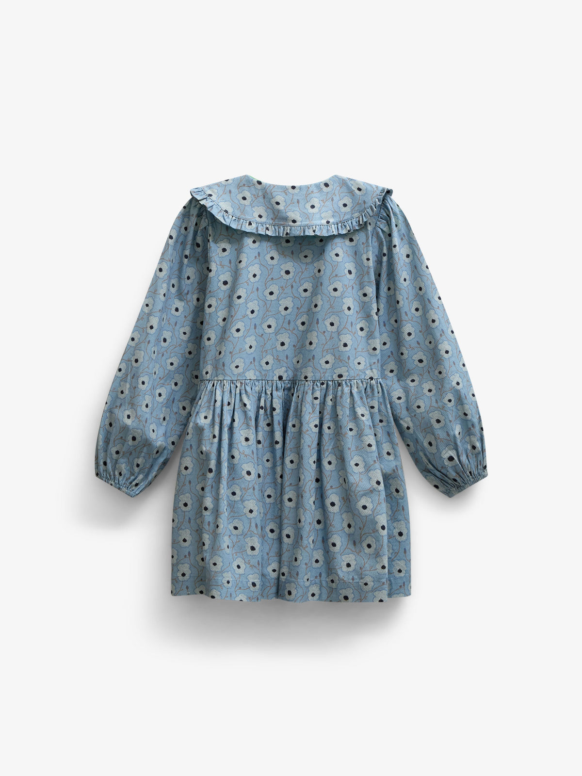 Floral Cotton Dress with Collar - Tween - Blue/Brown | 101428 Nova