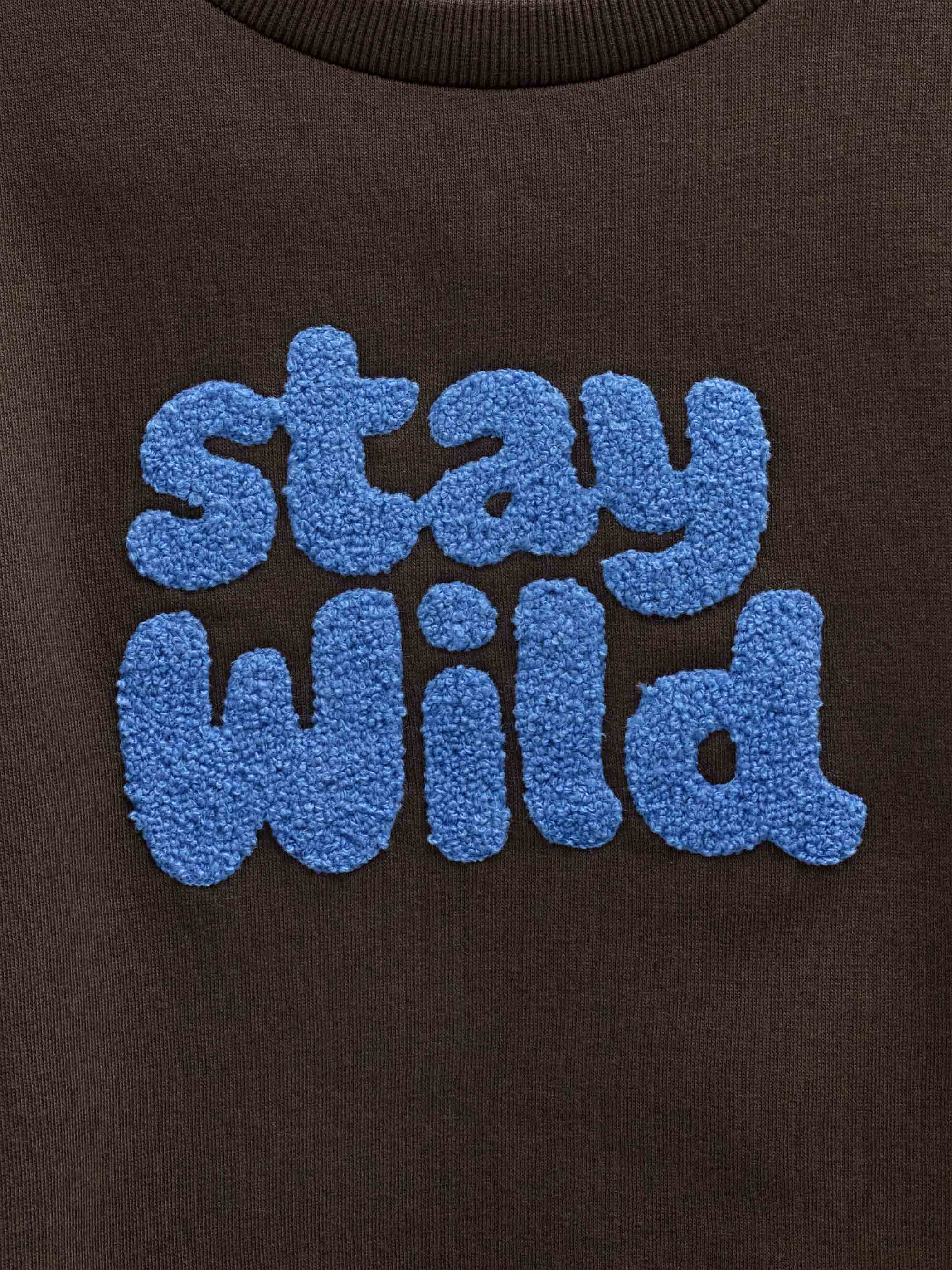 Front Print Crew Neck Sweatshirt - Tween - Dark Brown | 101623 Joel