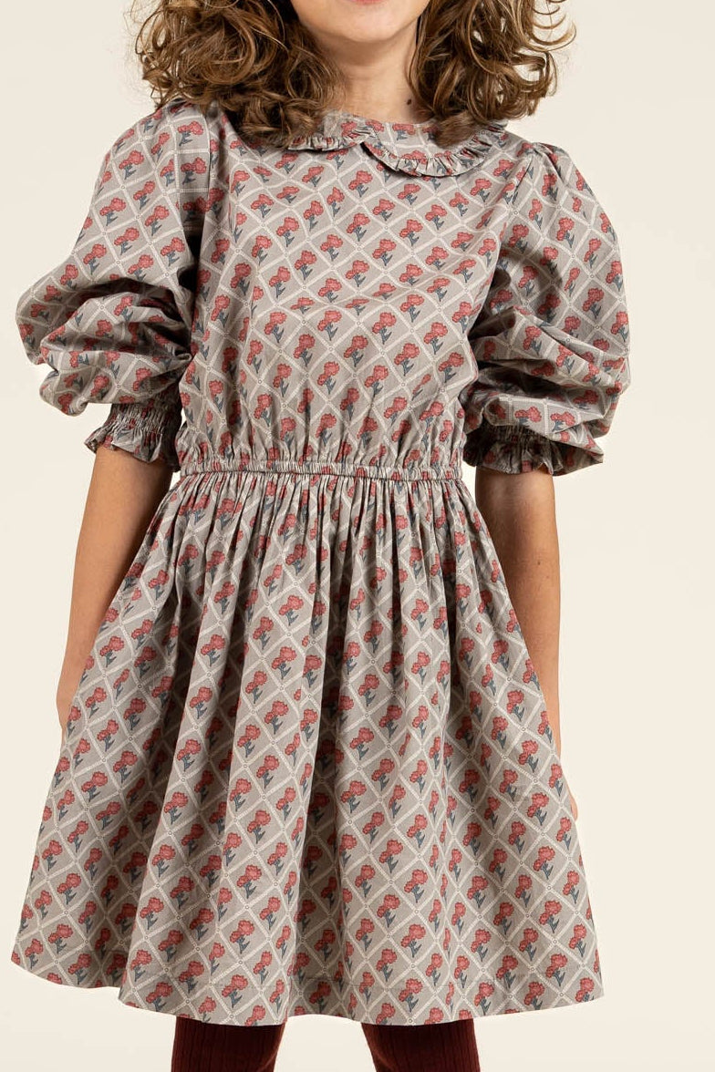 Printed Cotton Poplin Dress with Elastic waist - Tween - Green w. Vintage Red | 100800 Amine