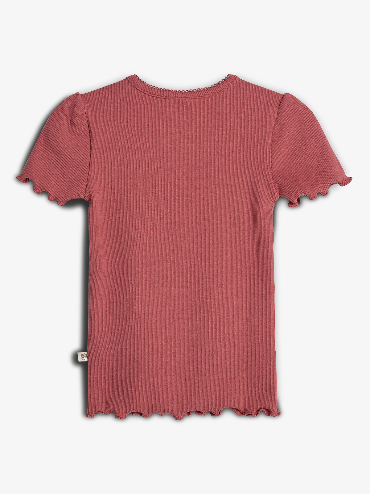 Modal Rib Short Sleeve T-shirt - Blush | 100320 Fiona