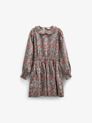 Printed Cotton Poplin Dress with Elastic waist - Tween - Rose / Green | 100720 Amy