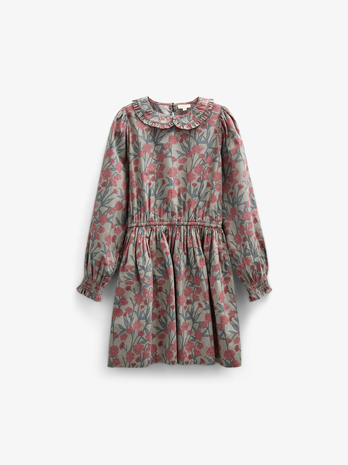 Printed Cotton Poplin Dress with Elastic waist - Tween - Rose / Green | 100720 Amy