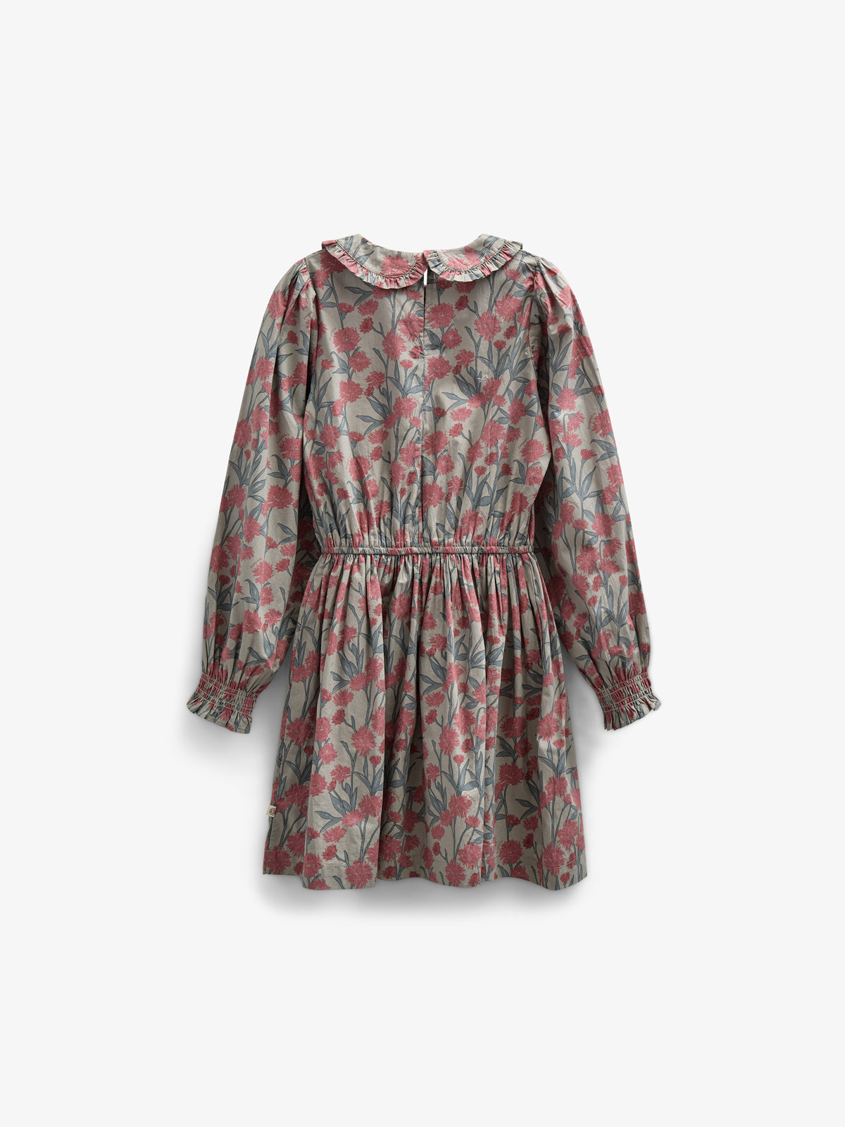 Printed Cotton Poplin Dress with Elastic waist - Tween - Rose / Green | 100720 Amy