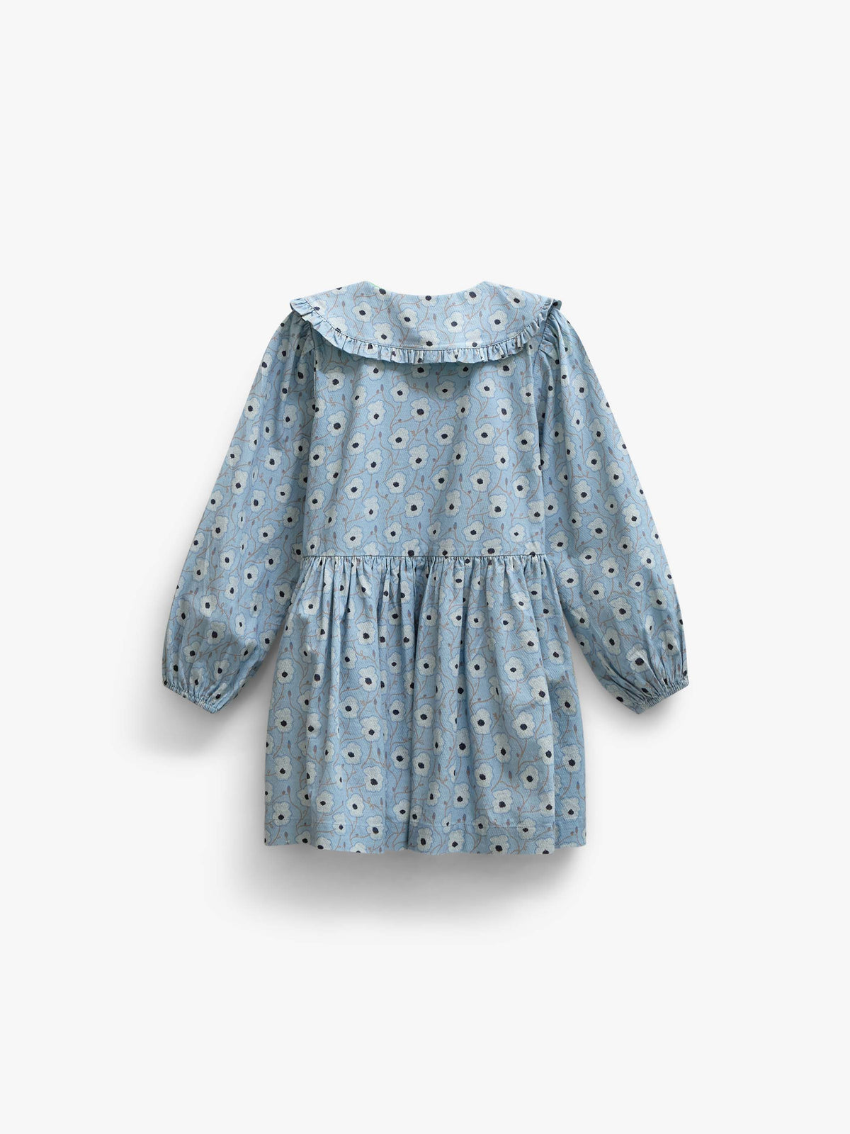 Floral Cotton Dress with Collar - Tween - Blue/Brown | 101428 Nova