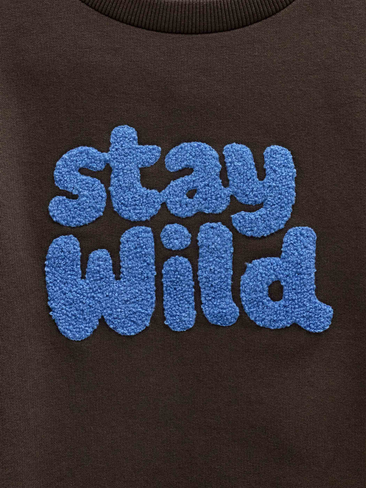 Front Print Crew Neck Sweatshirt - Tween - Dark Brown | 101623 Joel