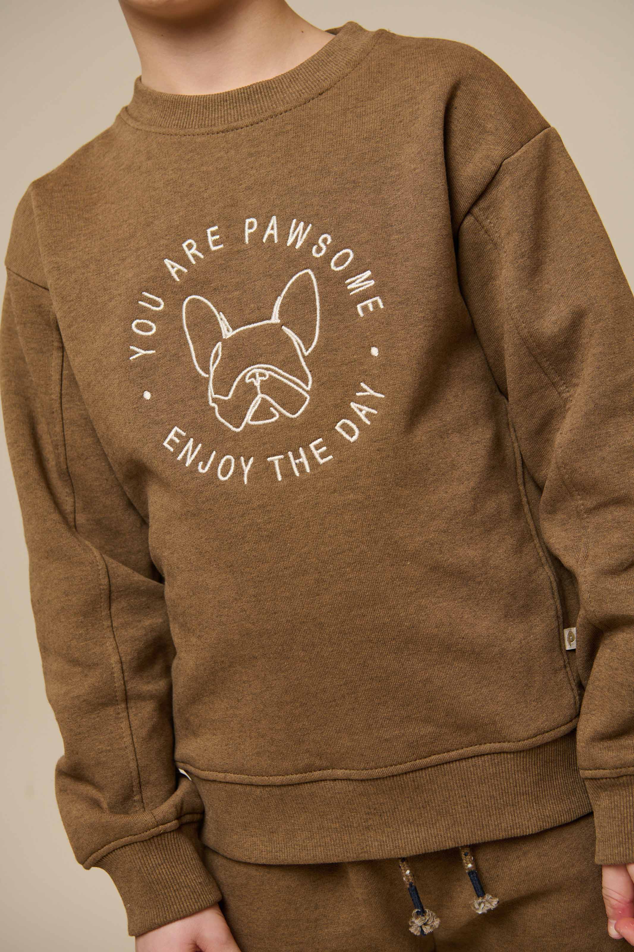 Crewneck Sweatshirt - Tween - Coffe Melange | 100891 Justin