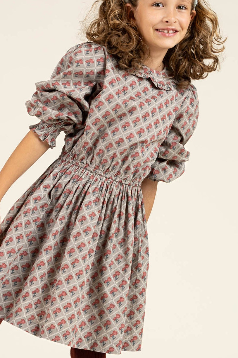 Printed Cotton Poplin Dress with Elastic waist - Tween - Green w. Vintage Red | 100800 Amine